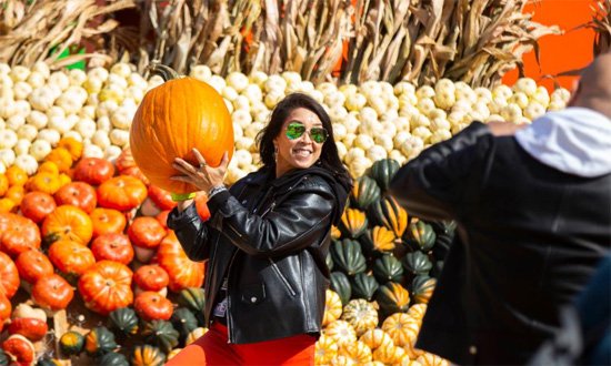 كرنفال اليقطين (2)