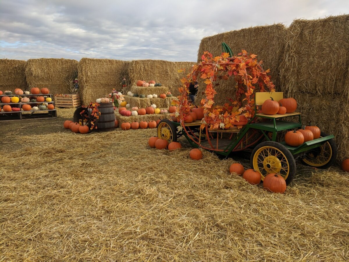 Fall-Fun-Farms-Calgary