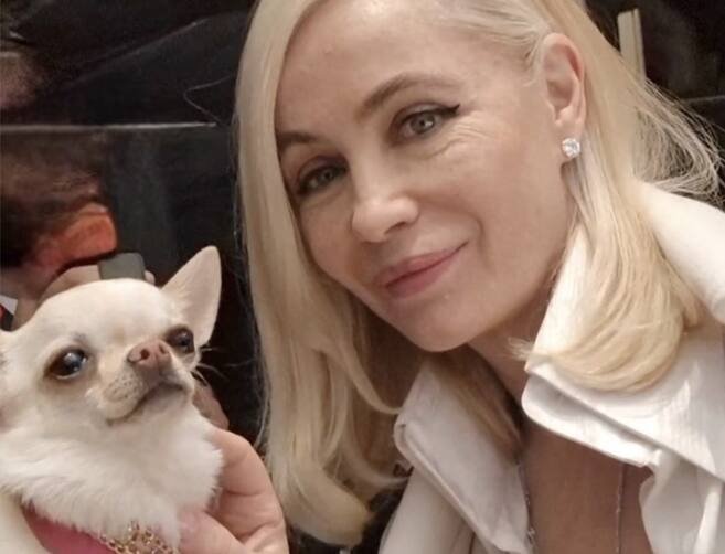 La star canine du tapis rouge, l'avenir du cinéma dans la mire