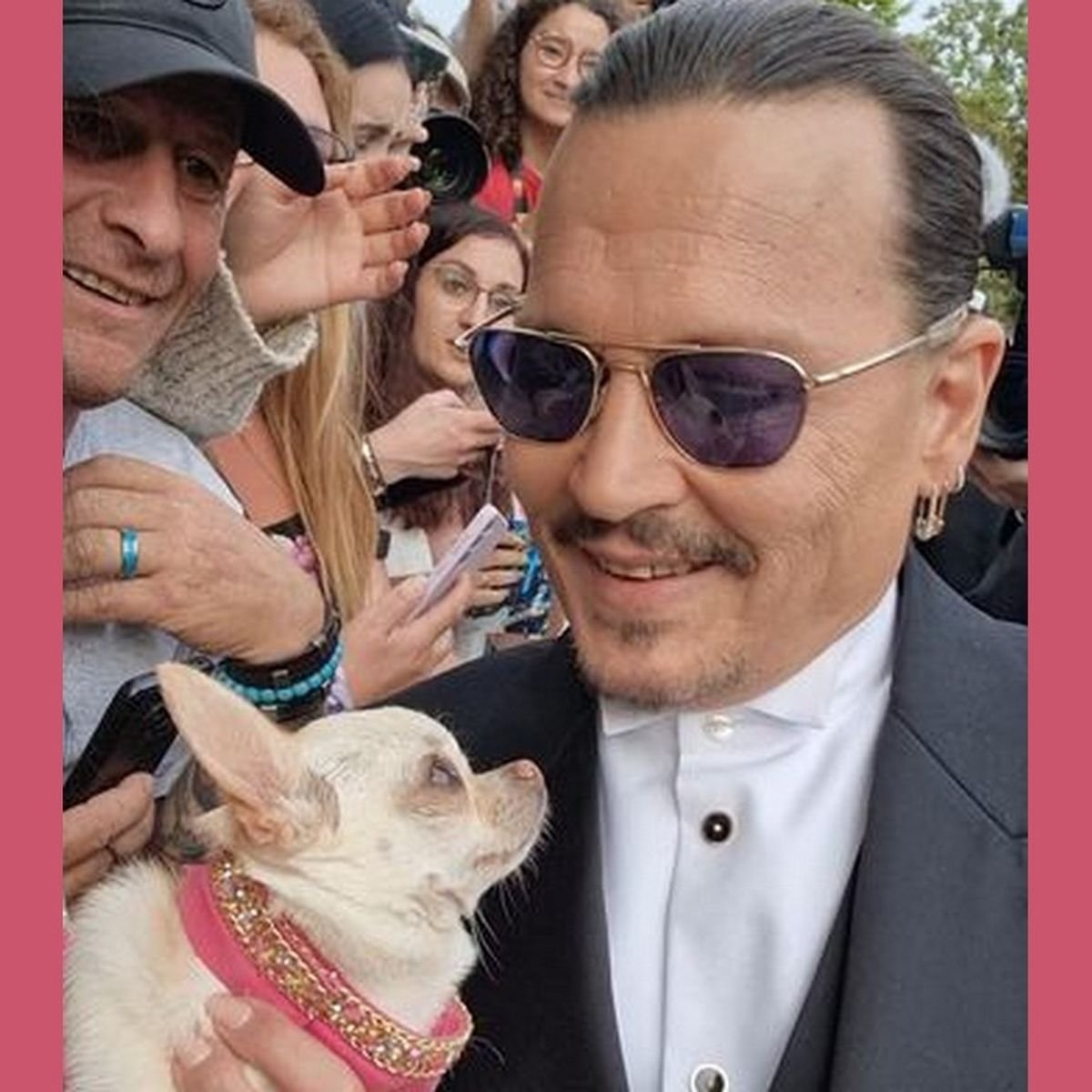 Festival de Cannes 2023 : la vraie star, c'est Petite Savanna ce chien chihuahua qui poste des selfies