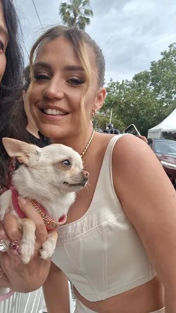 Festival de Cannes 2023 : la vraie star, c'est Petite Savanna ce chien chihuahua qui poste des selfies