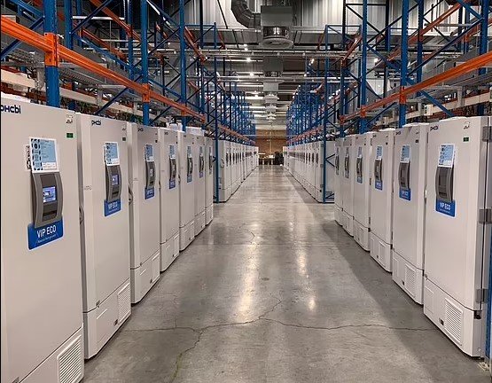 Screenshot 2021-05-05 131137