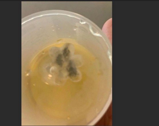 الوردة البلاستيكية العالق 