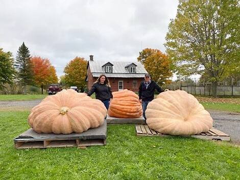 Jim et Kelsey Bryson - Citrouille géante Jim et Kelsey Bryson - Citrouille géante