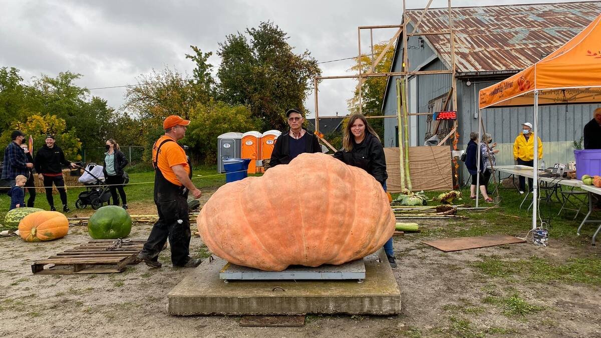 La plus grosse citrouille au Canada pèse plus de 2000 lb et elle a poussé en Montérégie | 24 heures